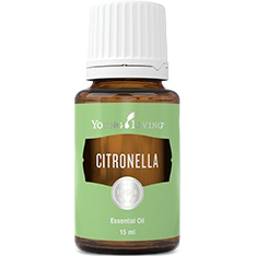Citronella Essential Oil by Young Living - 15ml