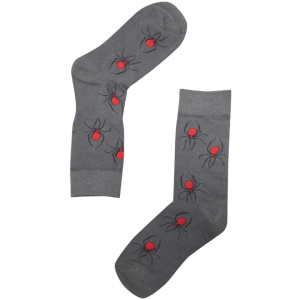 Socks, Redback Spider