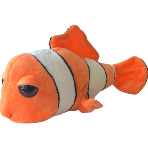 Clown Fish, Big Eyed