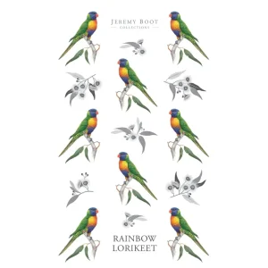 Tea Towel, Cotton - Rainbow Lorikeet