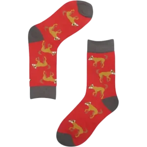 Socks, Dingo