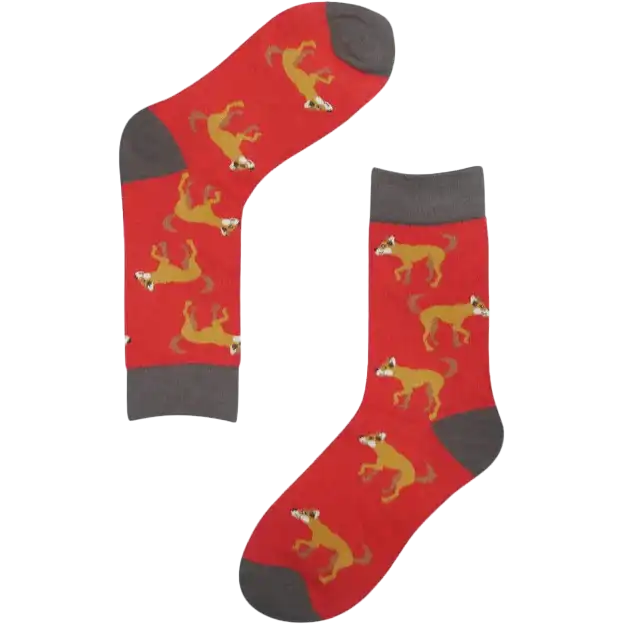 Socks, Dingo