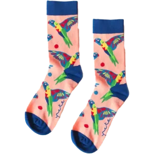 Socks, Rainbow Lorikeet