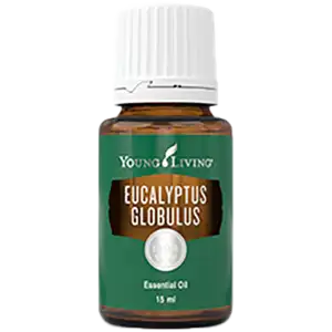 Eucalyptus Globulus Essential Oil by Young Living - 15ml