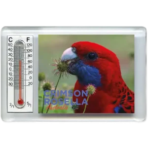 Thermometer Magnet - Crimson Rosella