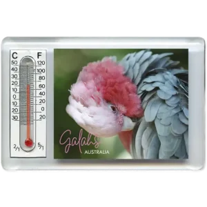 Thermometer Magnet - Galah