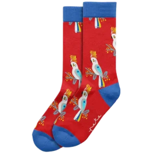Socks, Cockatoo