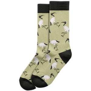 Socks, Ibis