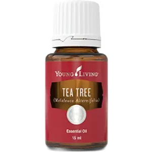 Tea Tree Essential Oil, 15ml, Young Living
