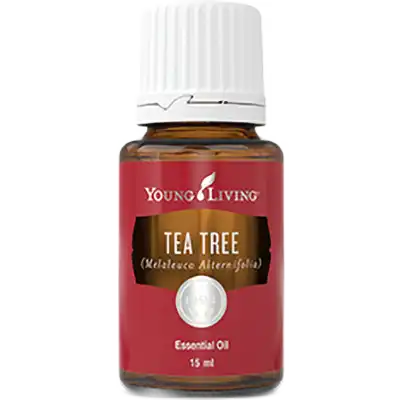 Tea Tree Essential Oil, 15ml, Young Living